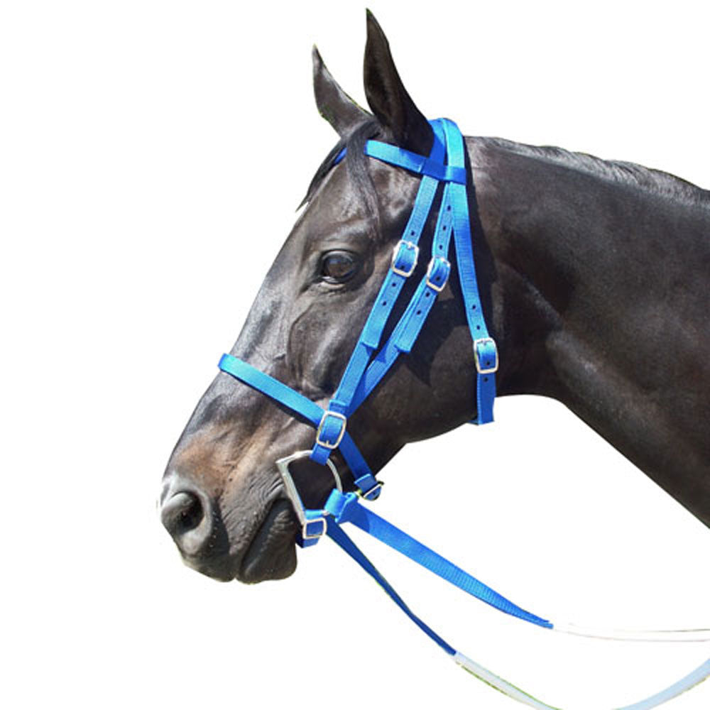Cabezada Para Carreras - Estandar - Azul