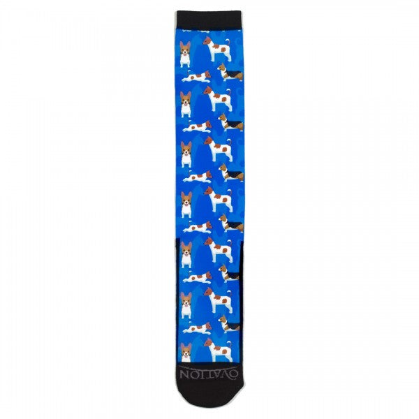 Medias Para Niños FootZees Ovation - 7-10 - Jack Russel - Jack Russel
