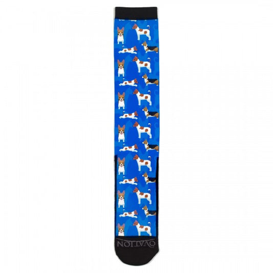 Medias Para Niños FootZees Ovation - 7-10 - Jack Russel - Jack Russel
