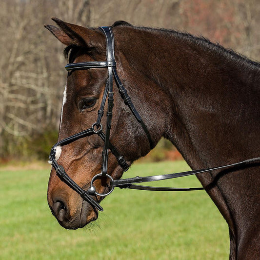 Cabezada Henry de Rivel Pro Mono Corona Elevada En Forma De 8 Con Riendas De Hule - Cob - Negro