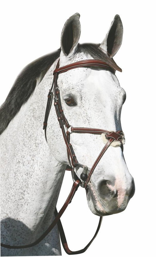 Cabezada Henry de Rivel Pro Mono Corona Elevada En Forma De 8 Con Riendas De Hule - Horse - Café