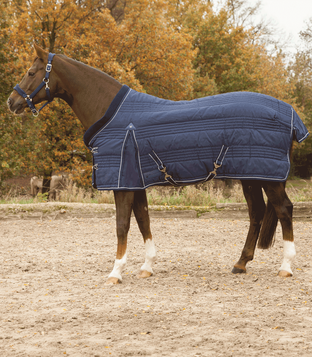 Capa de Establo para  Caballo Waldhausen copia